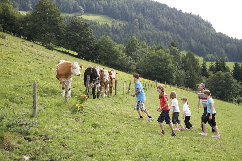 Ferienhaus Maxi Sankt Blasen Kültér fotó