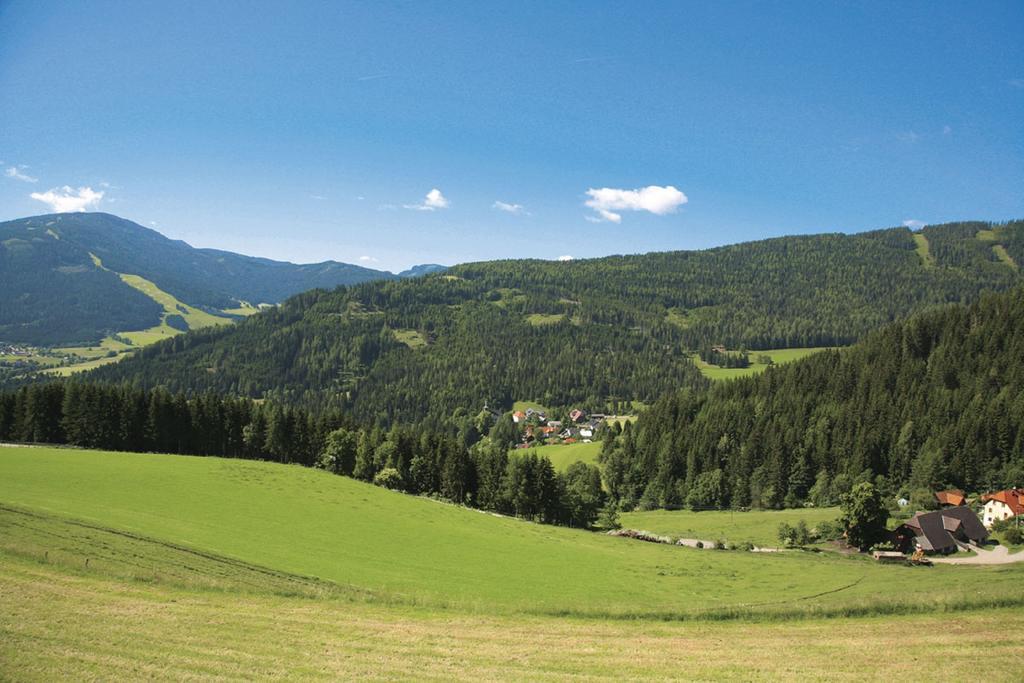 Ferienhaus Maxi Sankt Blasen Kültér fotó